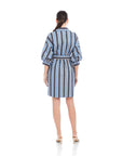 Blaire Lantern Sleeve Tie Dress