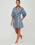 Blaire Lantern Sleeve Tie Dress