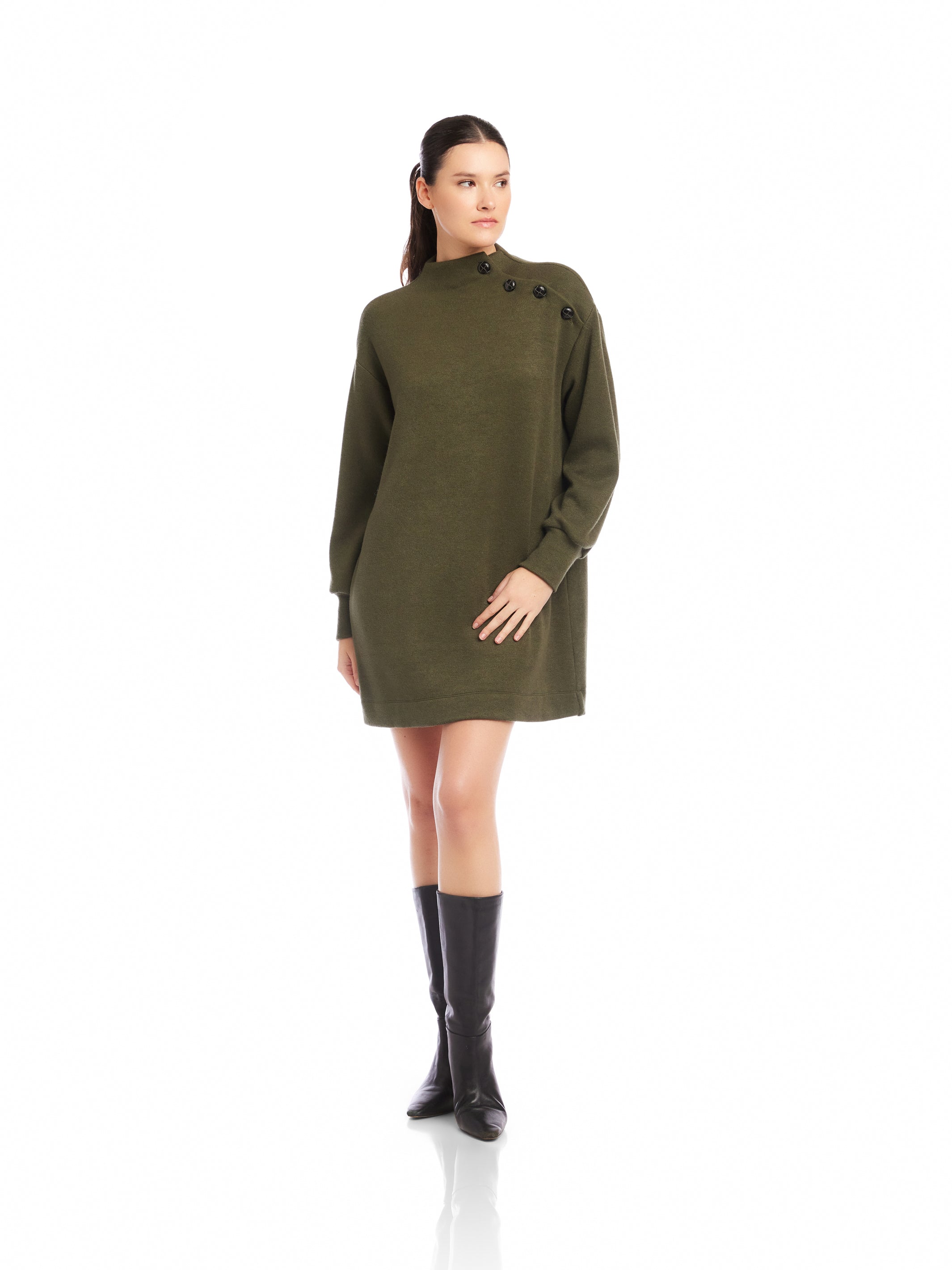 Brenna Mock Neck Dress