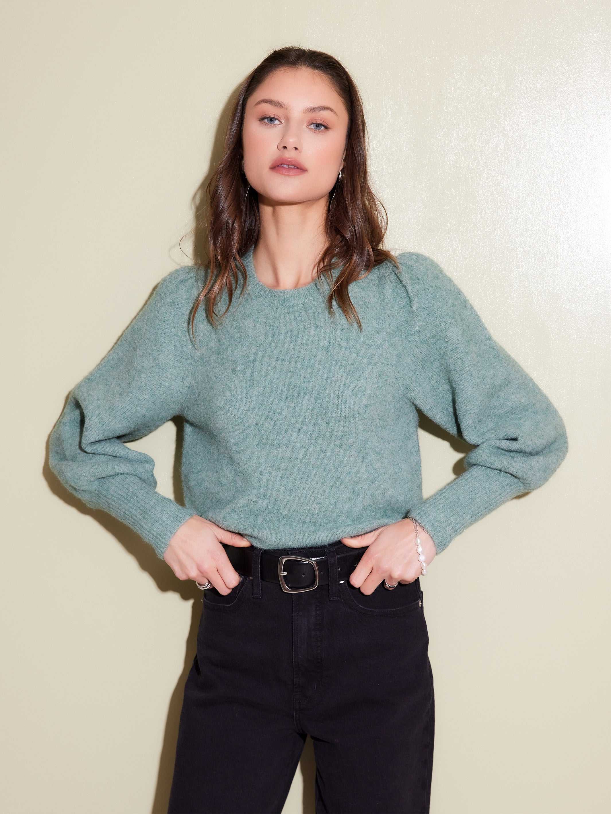 Lia Shirred Sleeve Sweater
