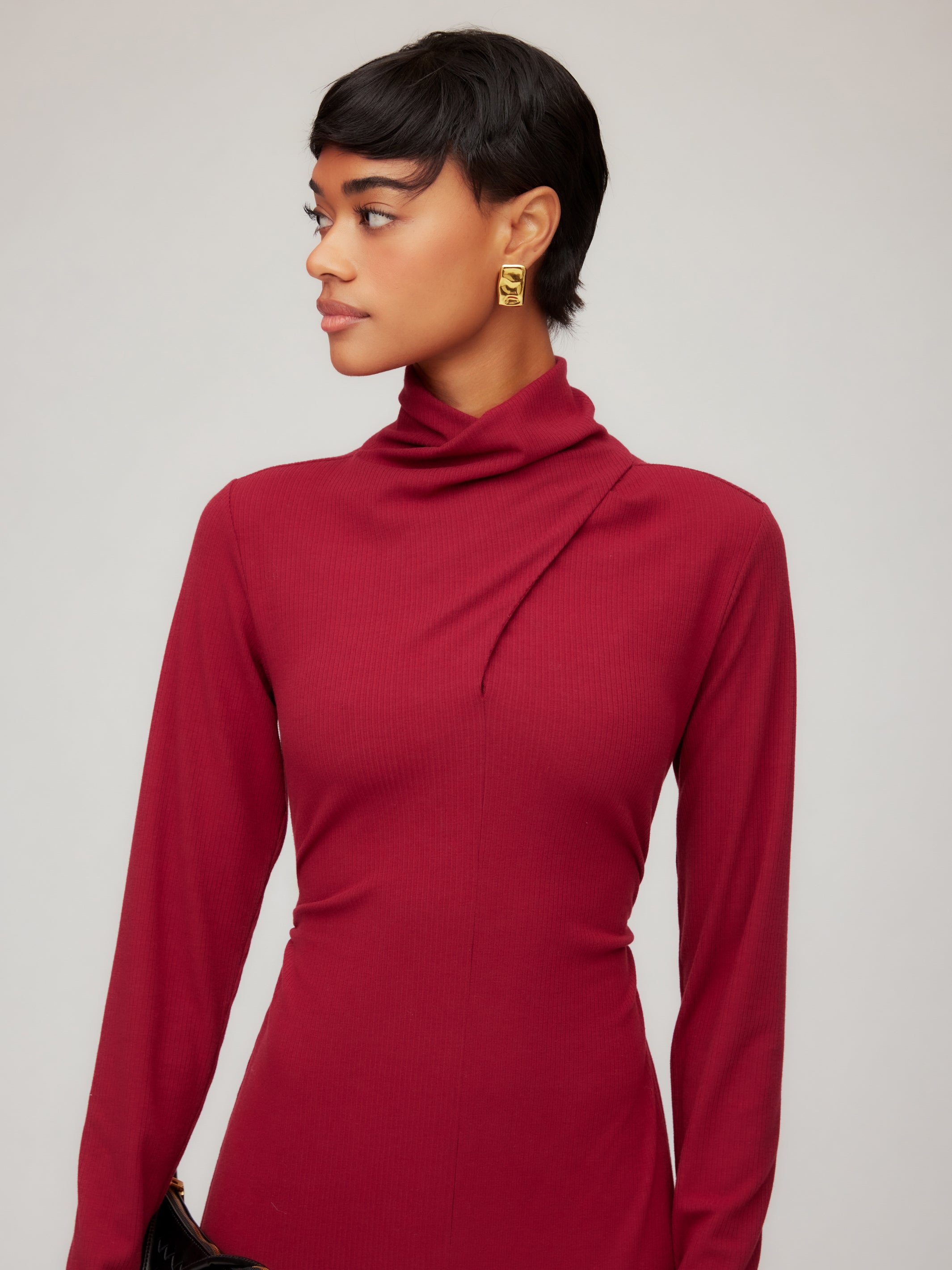 Tasha Turtleneck Midi Dress