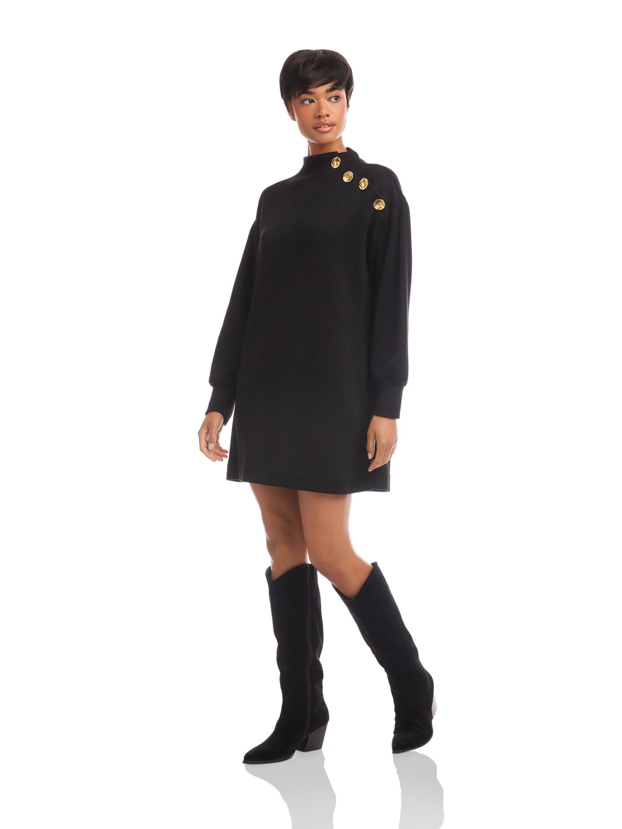 Brenna Mock Neck Dress