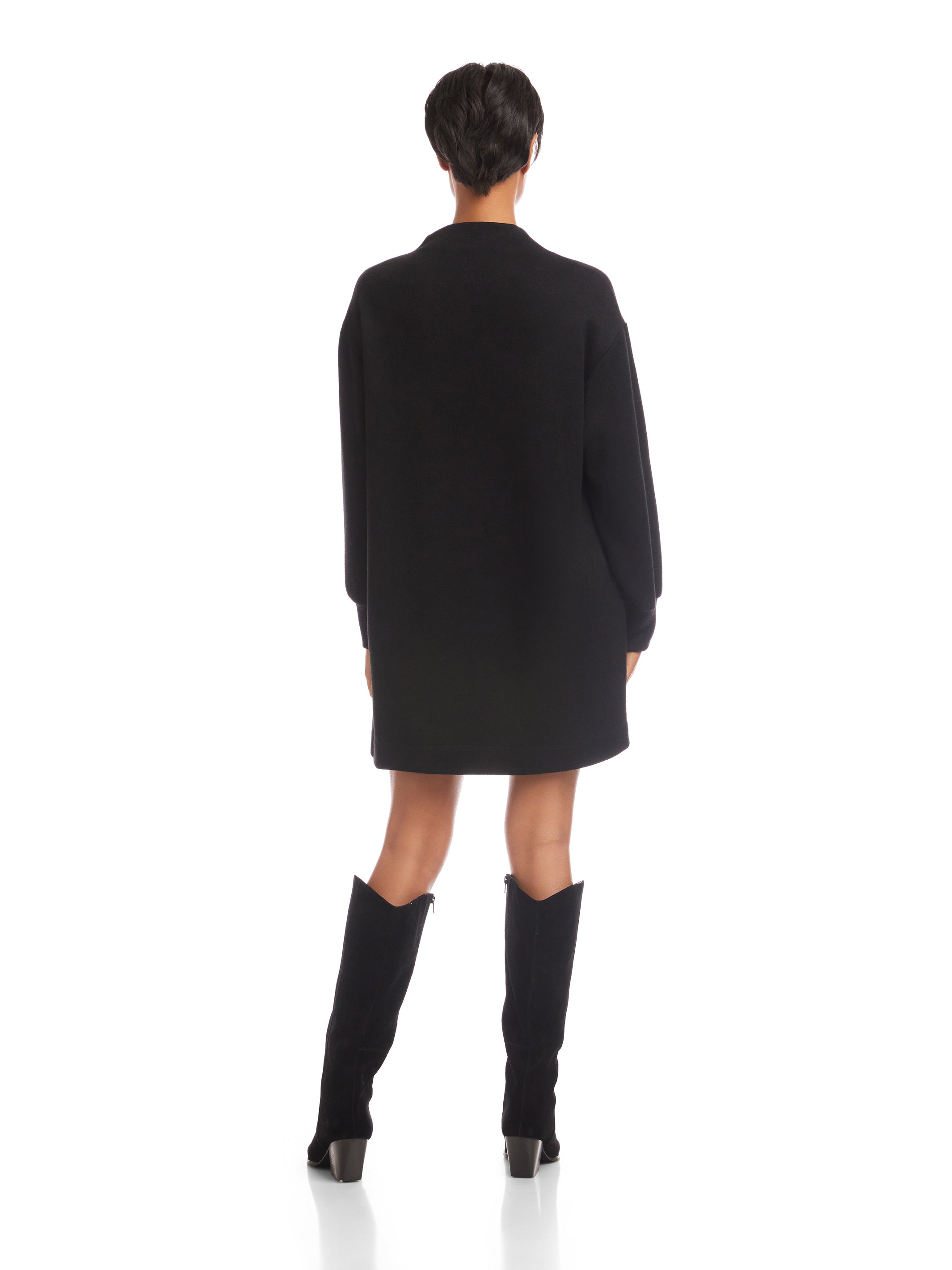Brenna Mock Neck Dress