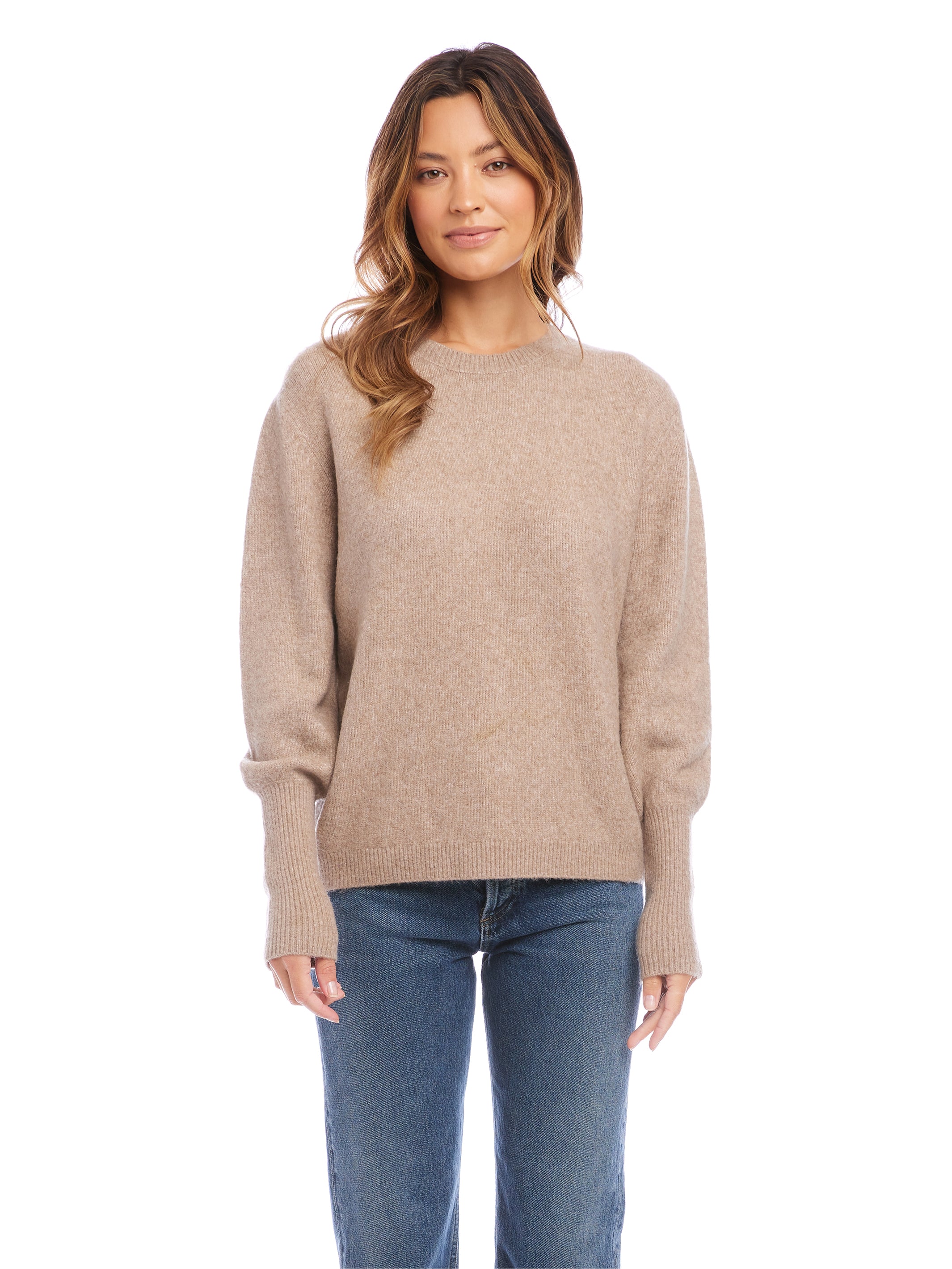 Blouson Sleeve Crop Sweater