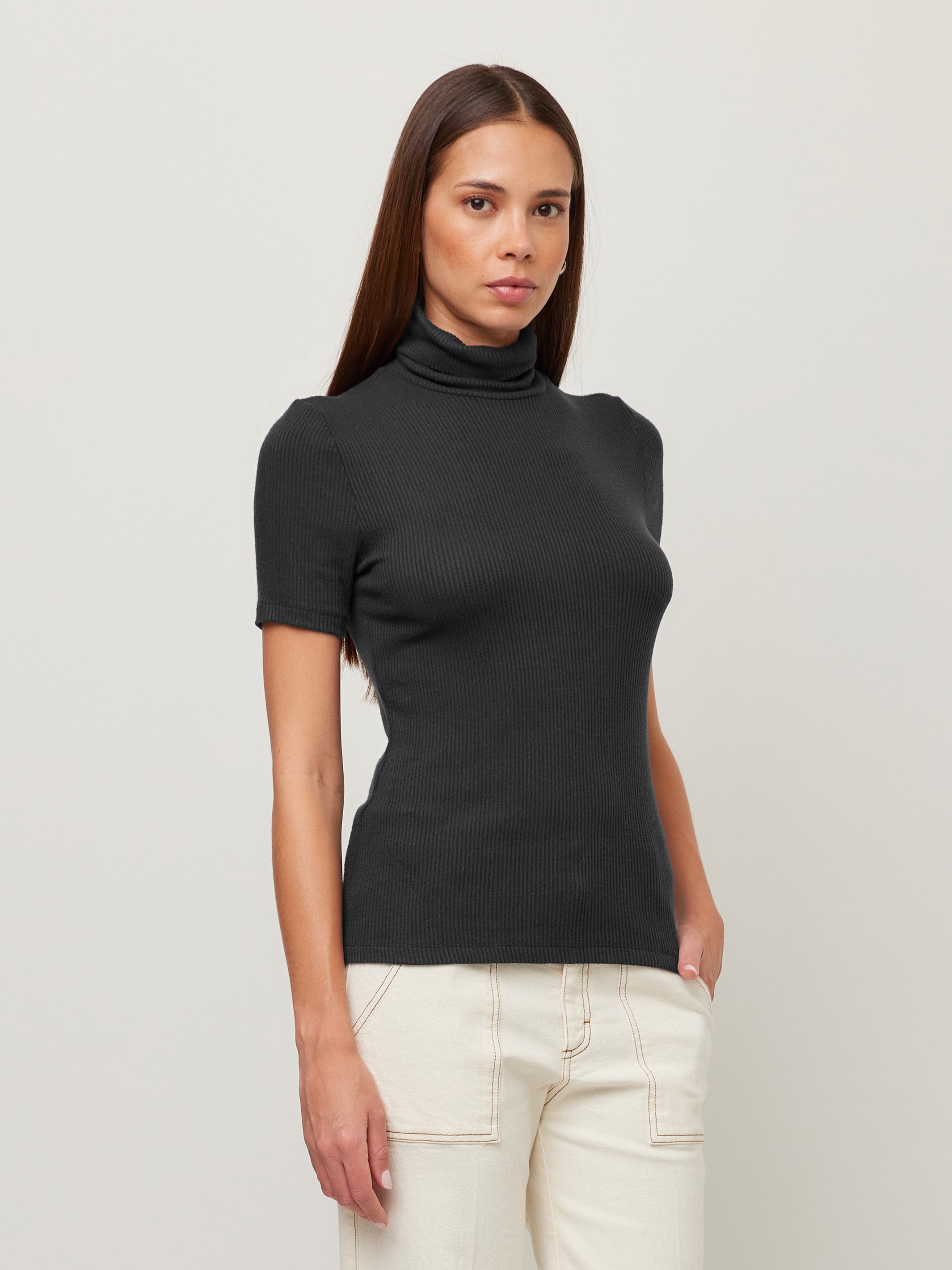 Jana Short Sleeve Turtleneck Top