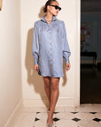 Natalia Shirtdress